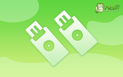 大白菜u盘装系统教程-大白菜u盘装机详细教程