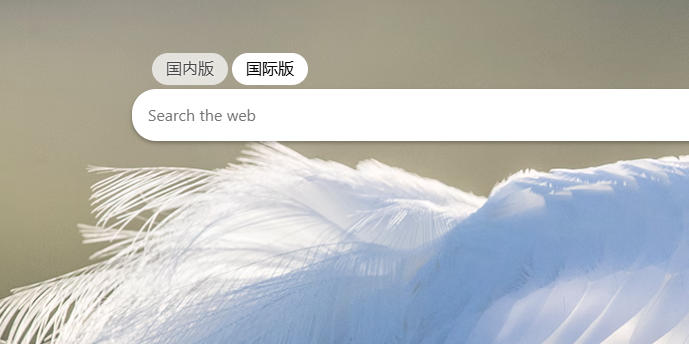 必应bing国际版官网入口-bing国际版网站入口
