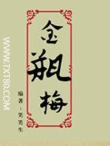 金瓶梅(笑笑生)全文TXT下载-金瓶梅百度网盘