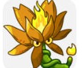植物大战僵尸融合版官网下载入口-融合版3.5.5官方版游戏下载2026最新