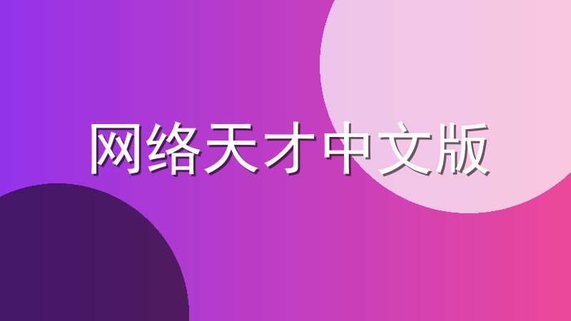 网络天才中文版